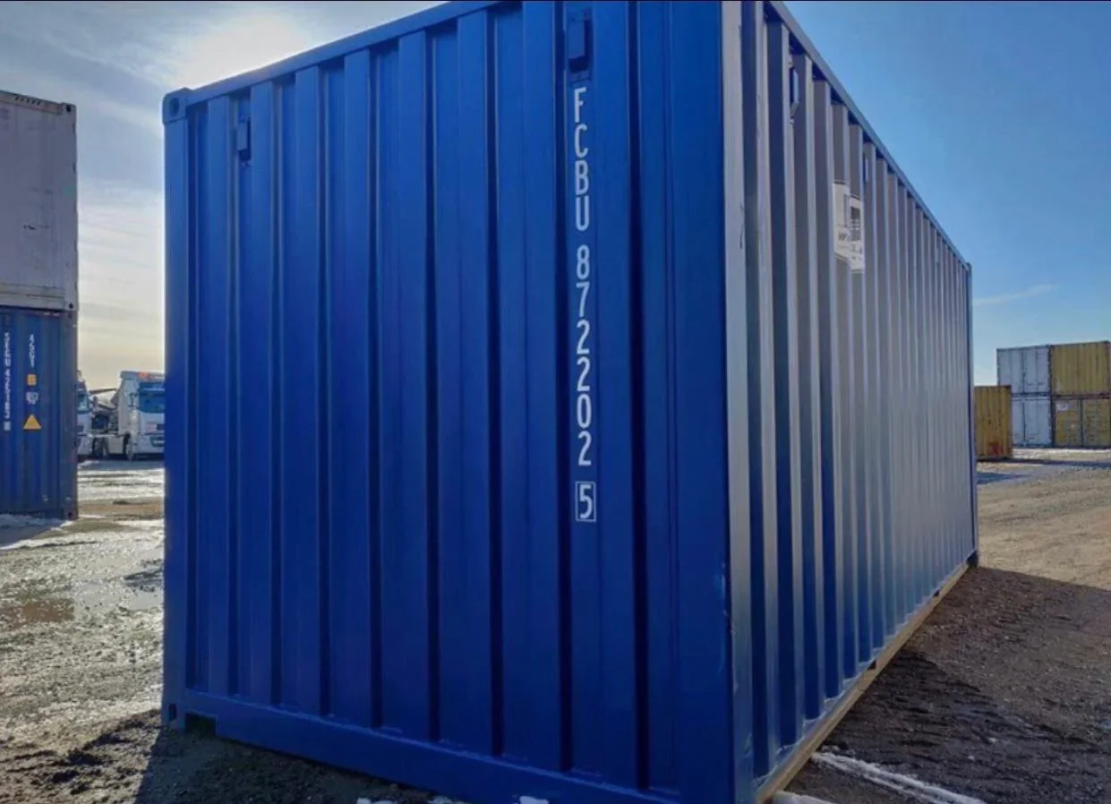 Contenedor 30 pies con puerta garaje azul – Imagen 4